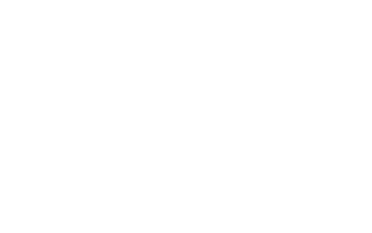 Organize.Chat